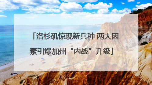 洛杉矶惊现新兵种 两大因素引爆加州“内战”升级